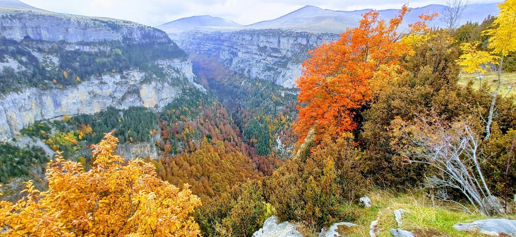 Casa Pirinea Ordesa Vendégház Belsierre Kültér fotó
