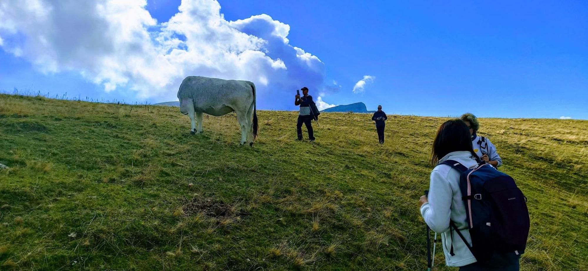 Casa Pirinea Ordesa Vendégház Belsierre Kültér fotó