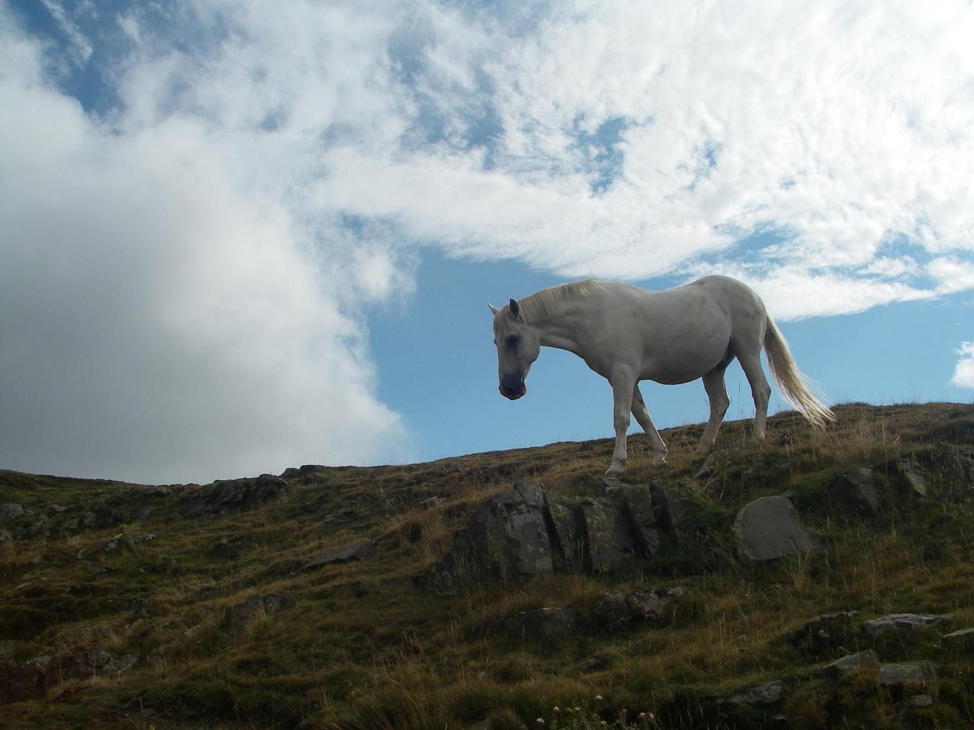 Casa Pirinea Ordesa Vendégház Belsierre Kültér fotó