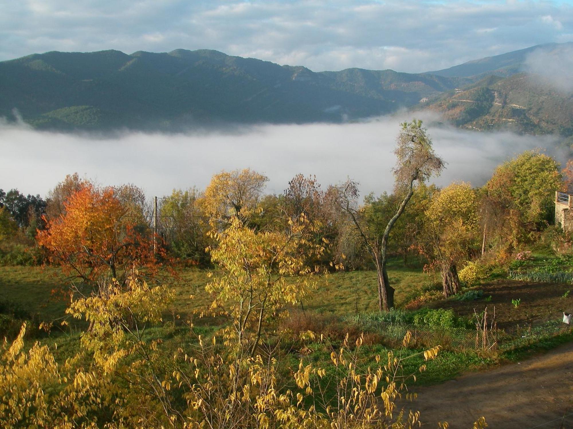 Casa Pirinea Ordesa Vendégház Belsierre Kültér fotó