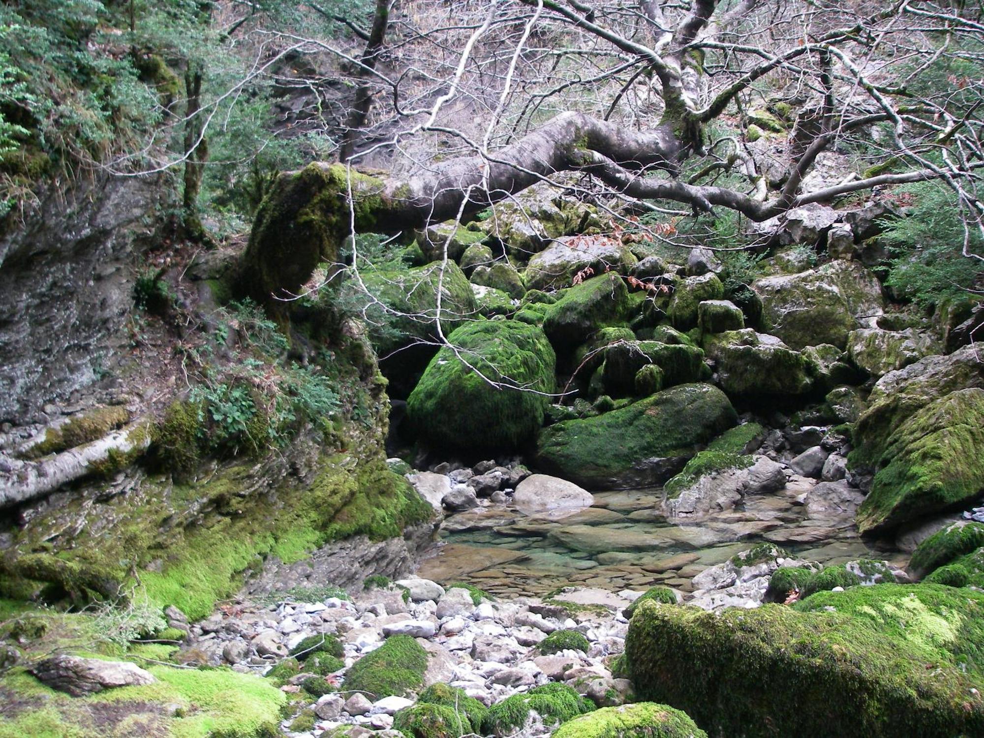 Casa Pirinea Ordesa Vendégház Belsierre Kültér fotó